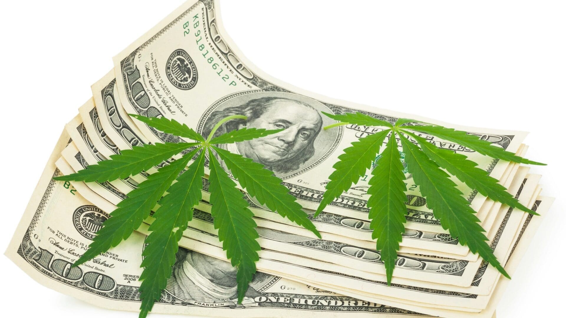 the cannabis and money